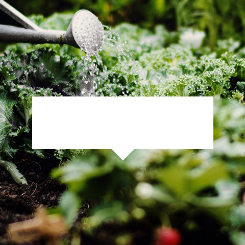 Jardinage